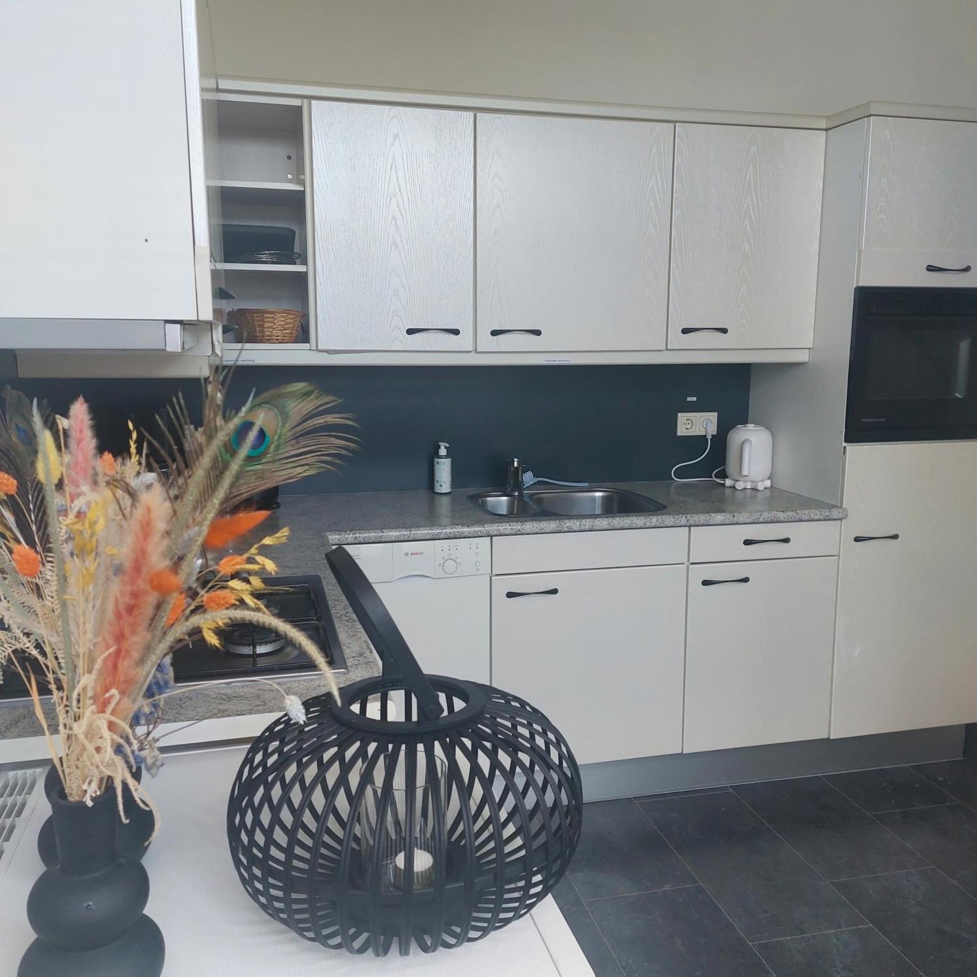 Hof Christina Vakantiewoningen Vrouwenpolder Kültér fotó